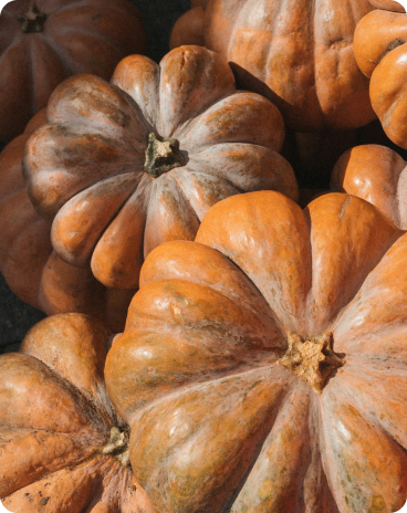 small orange pumpkins